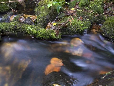 Composite of multiple long-exposure images of the stream of a brook with rock Stock Photos