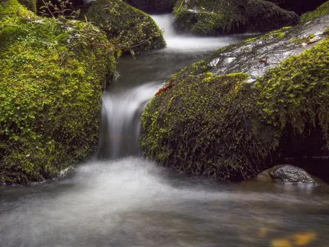 Composite of multiple long-exposure images of the stream of a brook with rock Foto stock