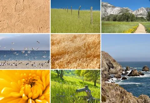 Composite of nature images Stock Illustration