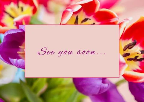 Composite of see you soon text in rectangle shape over colourful fresh flowers, 스톡 일러스트