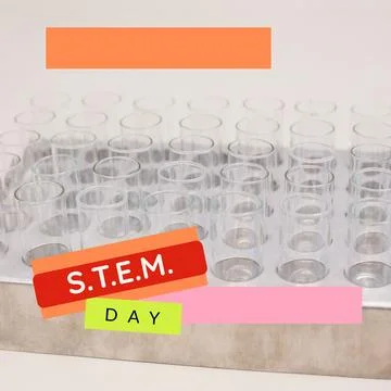 Composite of stem day text over empty test tubes in rack on white background Illustrazione stock