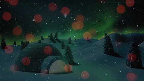 Composite of video with snow over lights Stock Footage 220905489