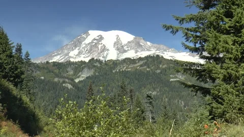 Composite Volcano - Mt Rainer Video stock 299626121