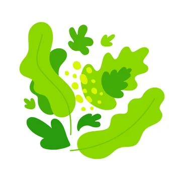 Composition of abstract salad greens. Vector flat color illustration isolatd  Stock Illustration