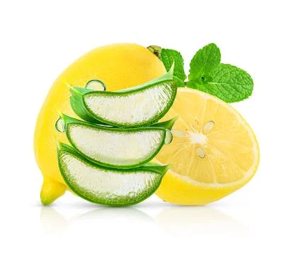 Composition of aloe vera leaves with lemon and mint isolated on white backg.. Stock Photos