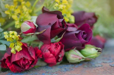 Composition arrangement of multi colored roses. Many colors of roses. Mixed r Stock Photos