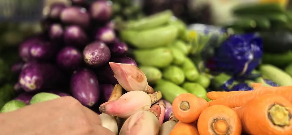 Composition with assorted raw organic vegetables. Detox diet consist of col.. Stock Photos
