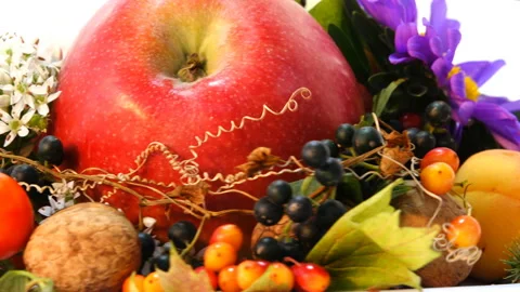 Composition of Autumn Attribute 7 Stock-Footage 103852810