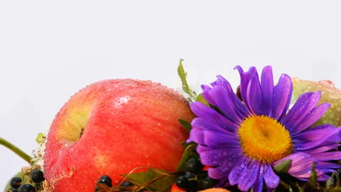 Composition of Autumn Attributes 10 動画素材 103852819