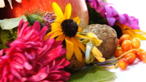 Composition of Autumn Attributes 9 Video stock 103852829