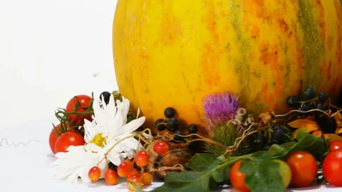 Composition of Autumn Attributes together Melons Stock Footage 103853096
