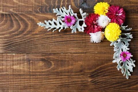 Composition of autumn flowers on the wood table Stock Photos
