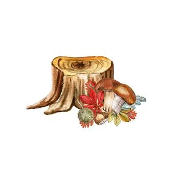 Composition of an autumn leaves and elements. Hand drawn illustration of au.. Stock Illustration