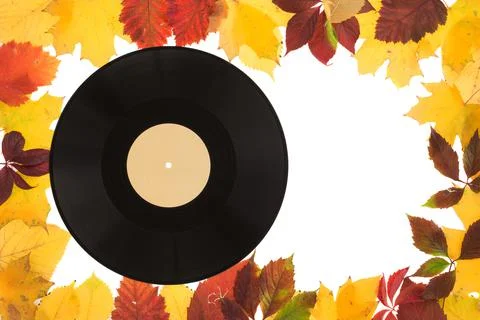 Composition of autumn leaves with the recording disk. Stock Photos
