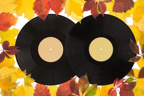 Composition of autumn leaves with the recording disk. Stock Photos
