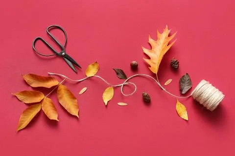 Composition with autumn leaves, threads and scissors on red background Stock Photos
