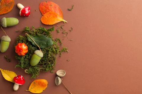 Composition With Autumn Symbols Stock Photos