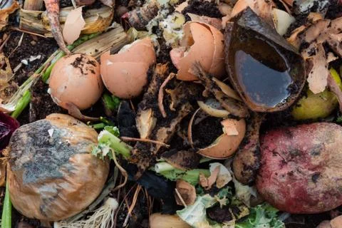Composition background of rotting fruit and vegetable kitchen scraps Stock Photos
