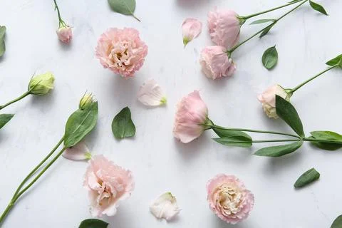 Composition with beautiful eustoma flowers on white grunge background Stock Photos