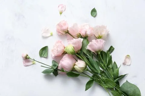 Composition with beautiful eustoma flowers on white grunge background Stock Photos