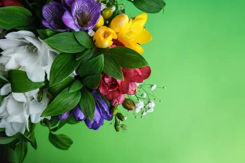 Composition of beautiful flowers. Stock Photos