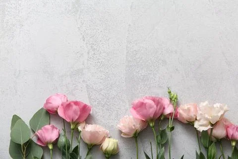 Composition with beautiful pink eustoma flowers on grey grunge background, cl Stock Photos