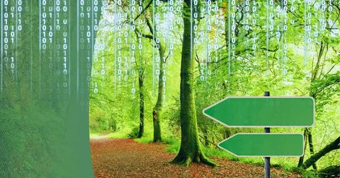 Composition of binary coding over green arrows and forest Illustrazione stock