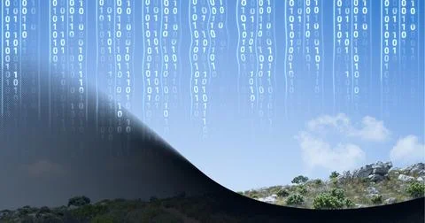 Composition of binary coding over sunny landscape 스톡 일러스트