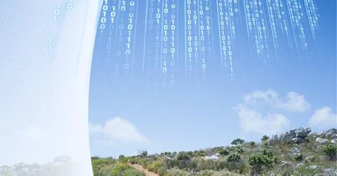 Composition of binary coding over sunny landscape Stockillustratie