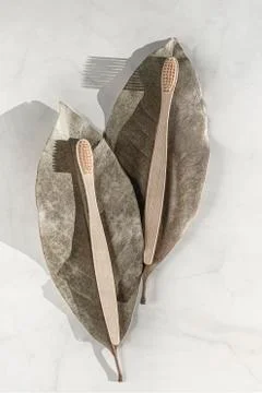 Composition with biodegradable bamboo toothbrushes. Stock Photos