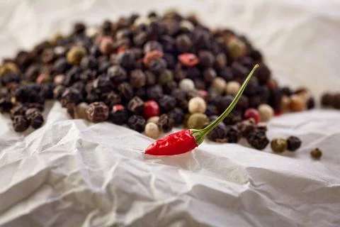 Composition of black, red and white peppercorns and red chilly on white paper Stock Photos