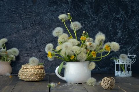 Composition on black textured background with dandelions in white mug and cag Foto stock