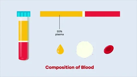 Composition of Blood Animation 2 Stock Footage 247856033