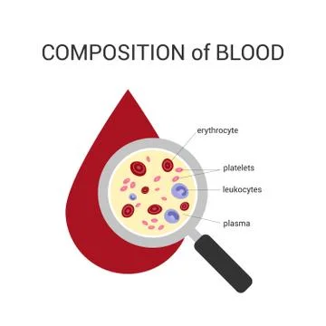The composition of the blood. Stock Illustration