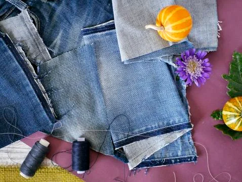 Composition of blue fabric of jeans, threads, autumn leaves, pumpkins Stock Photos