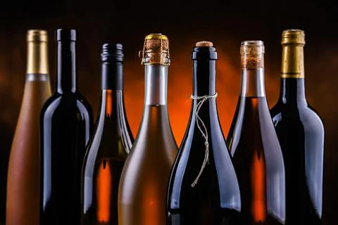 Composition with bottles of different sorts of wine. Stock Photos