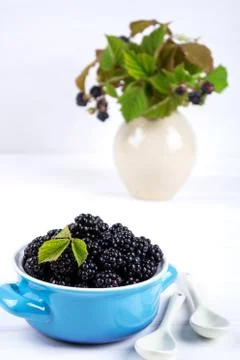 Composition of branch of Blackberry with leaf and  blackberries Foto stock