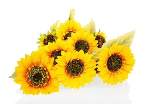 Composition from bright artificial sunflowers isolated on white background. Stock Photos