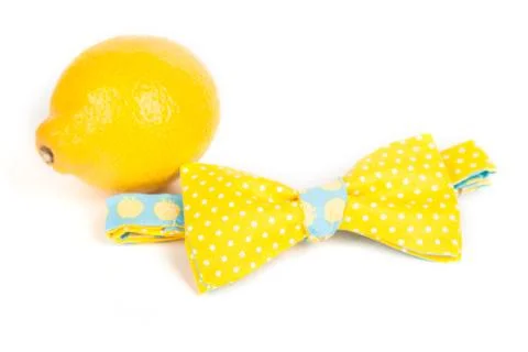 Composition bright yellow tie bow in front of lemon Фото