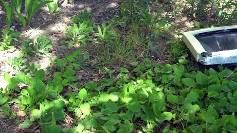Composition of a broken computer on the grass Stock Footage 75445099