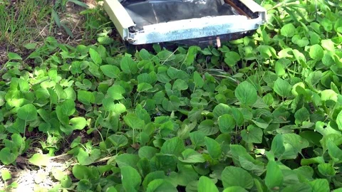 Composition of a broken computer on the grass Stock Footage 75445152