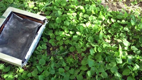 Composition of a broken computer on the grass Video stock 75445250