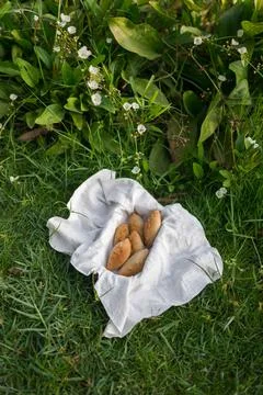 Composition of buns in basket with white white cloth napkin on the green grass Stock Photos