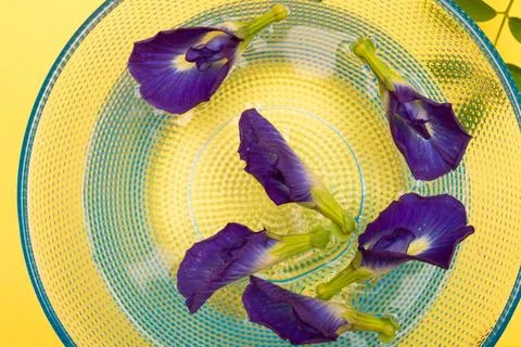 Composition of butterfly pea flower with green leaves Stock Photos
