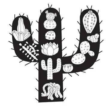 Composition of cacti in doodle style on the background of cactus silhouette. Stock Illustration