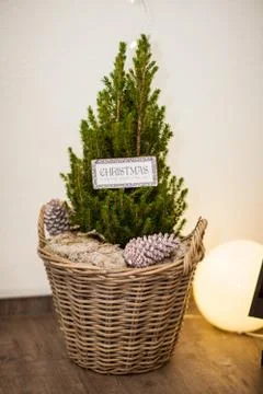 Composition of the Christmas decorations. Stock Photos