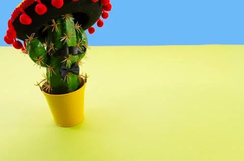 Composition for Cinco de Mayo concept, space for text Фото