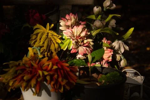 Composition of cloth flowers on blurred background Stock Photos