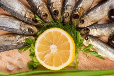 A composition with clupea herring Stock Photos