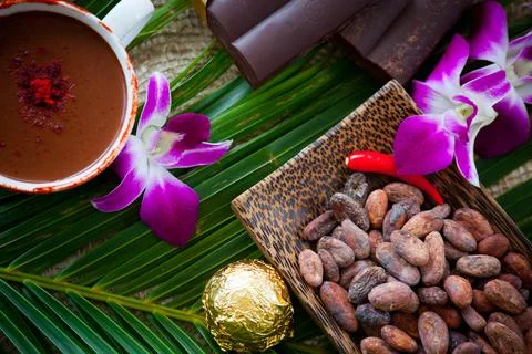 A composition of cocoa beans, a cup of hot chocolate and a bar of chocolate. Stock Photos